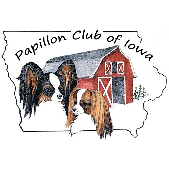 Papillon Club of Iowa
